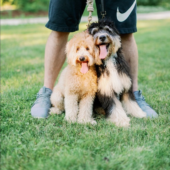 Meet your Posher, Mary - Picture 1 of 1